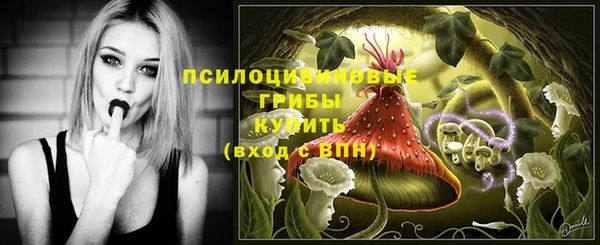 соль ск Аша