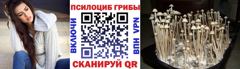 Псилоцибиновые грибы MAGIC MUSHROOMS Усмань